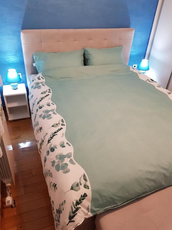 Apartman Kej Blue Free Parking Kraljevo Ngoại thất bức ảnh